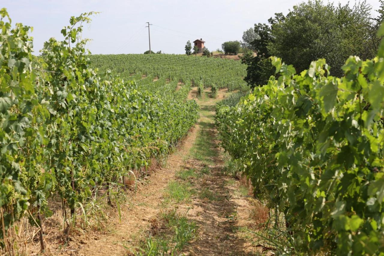 Braida Wine Resort Rocchetta Tanaro Exterior foto
