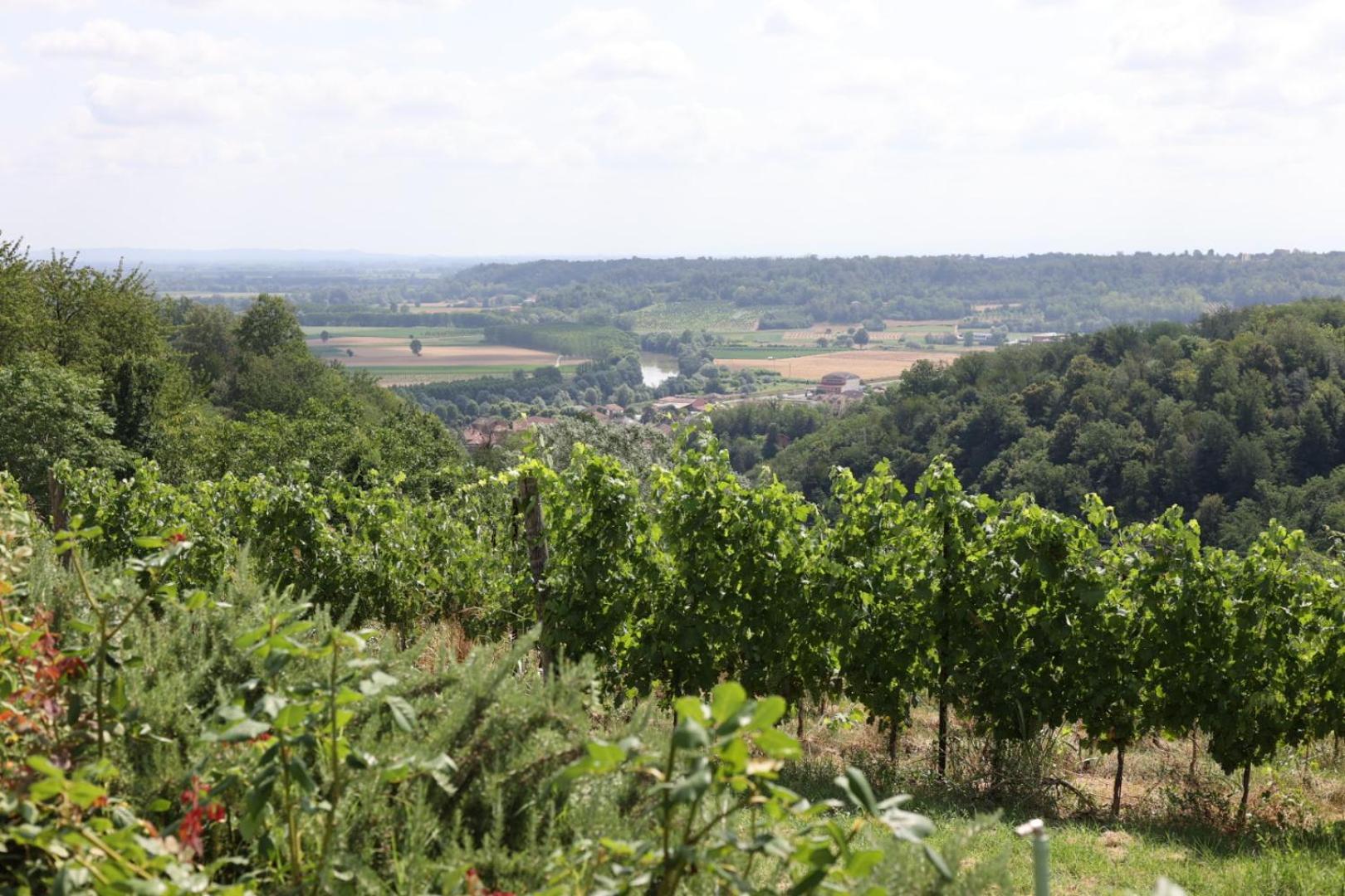 Braida Wine Resort Rocchetta Tanaro Exterior foto